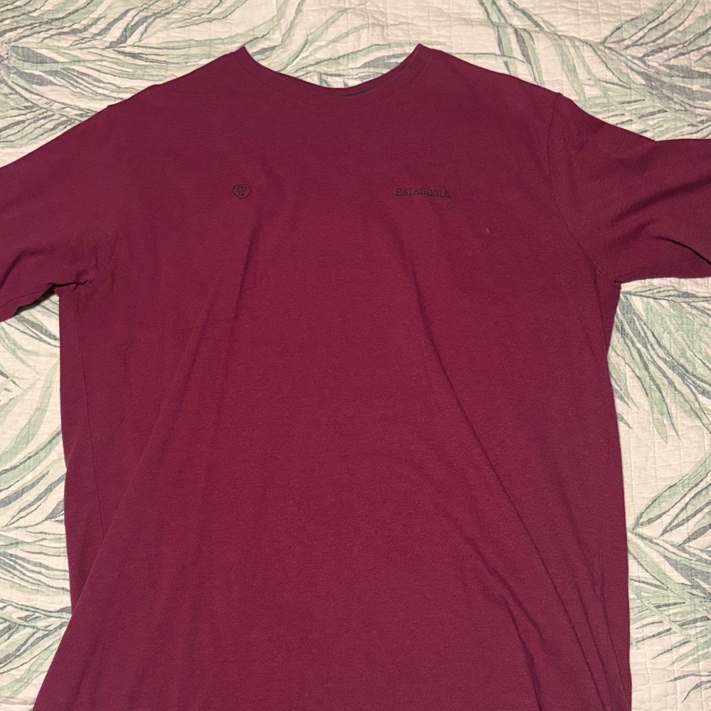 Patagonia Men's Burgundy short Sleeve Tee